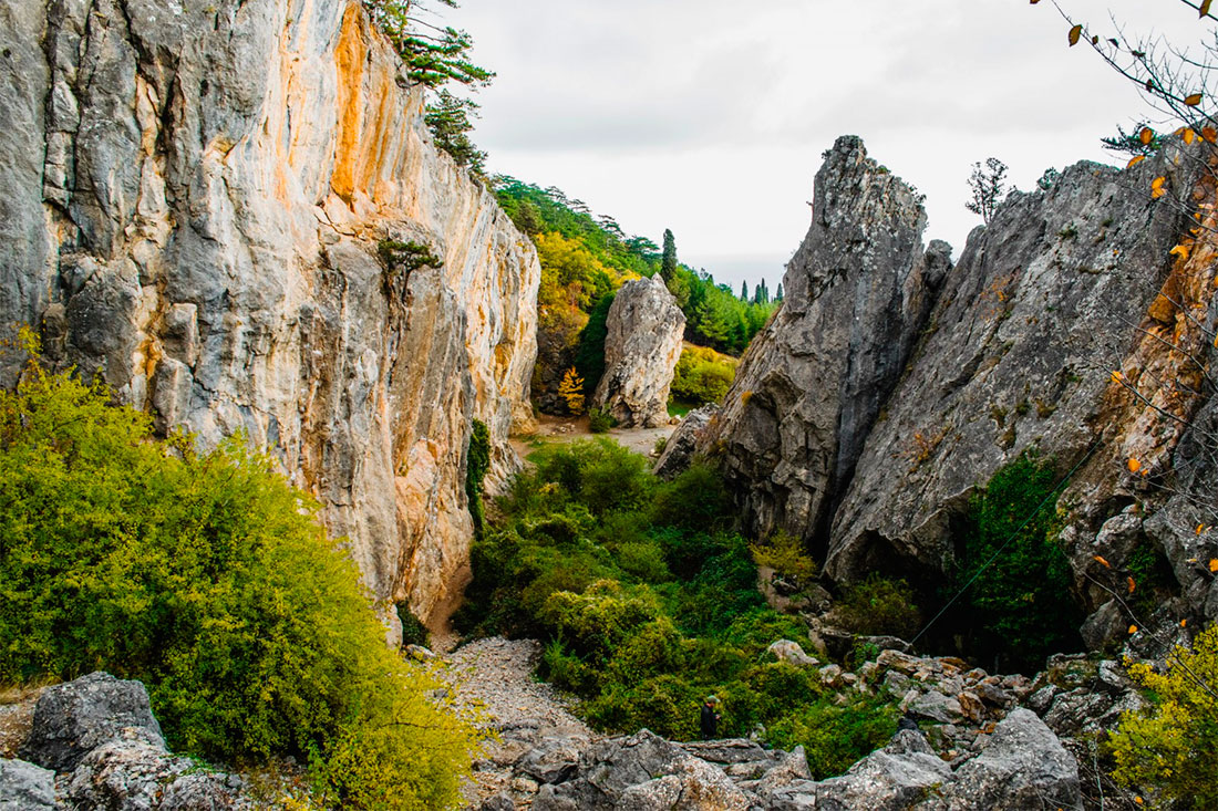 nikitskaya-cleft