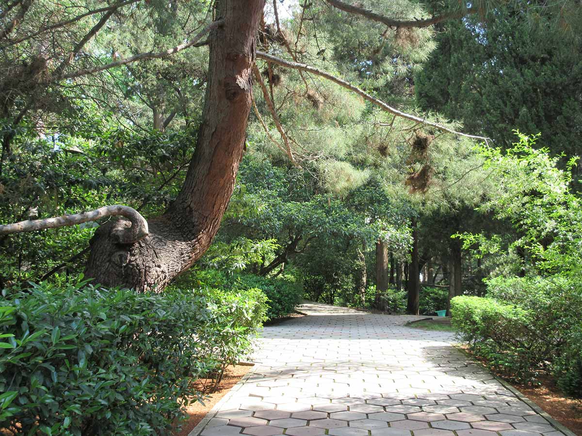 park-630