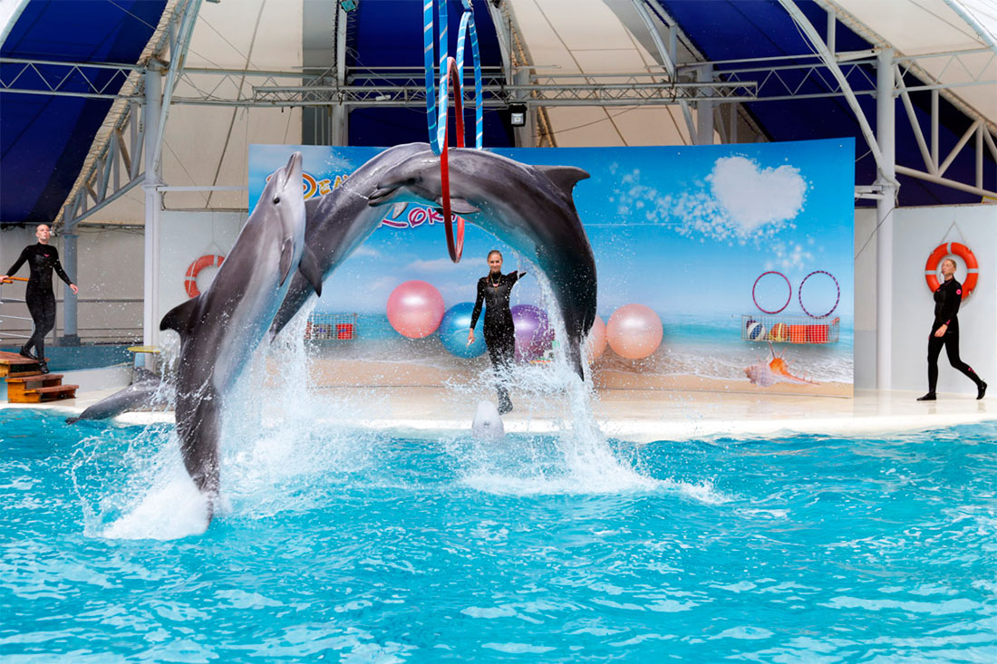 dolphinarium