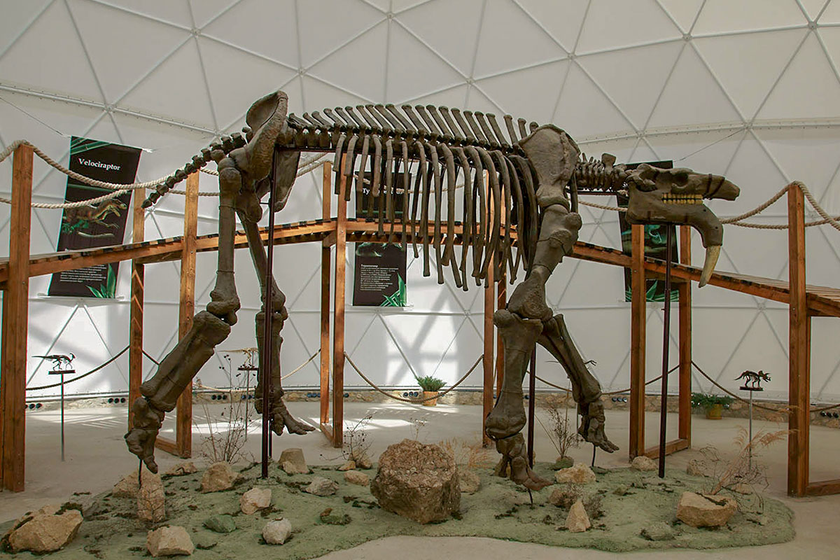 dinoteriy-countryscanner-6