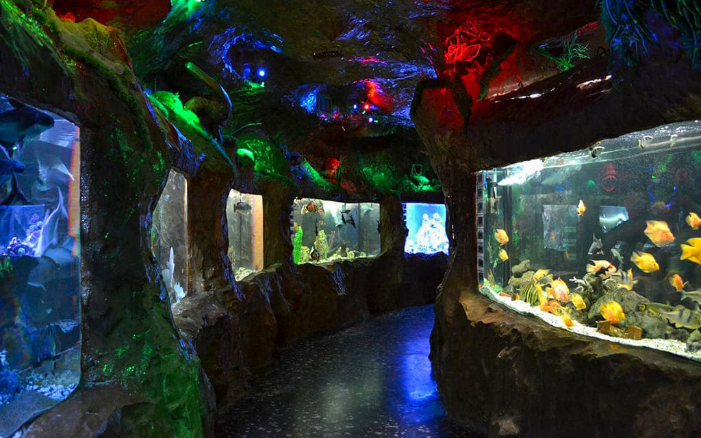 koktebelskij-akvarium