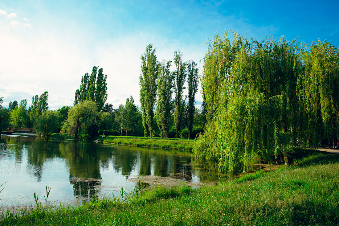 gagarinsky-park
