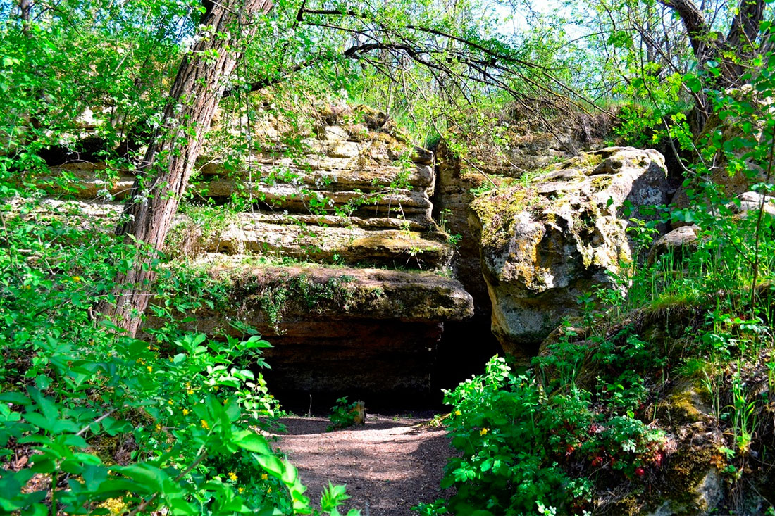 weeping-rock