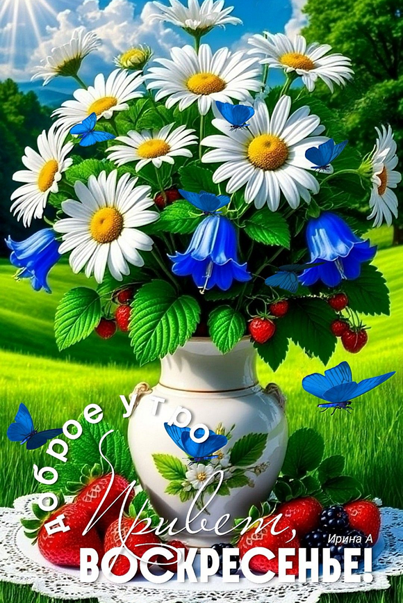 1b0dd8866c2d15a39978bb2fe85e263a_cr
