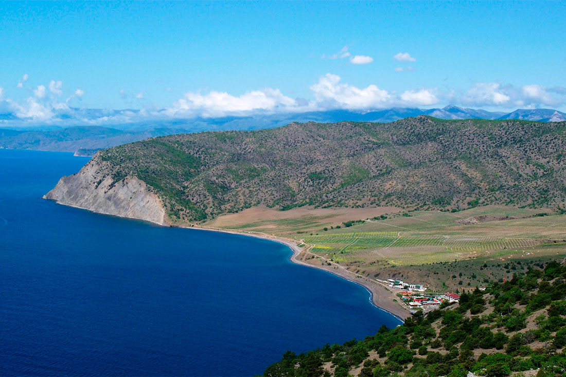 cape-ai-foka