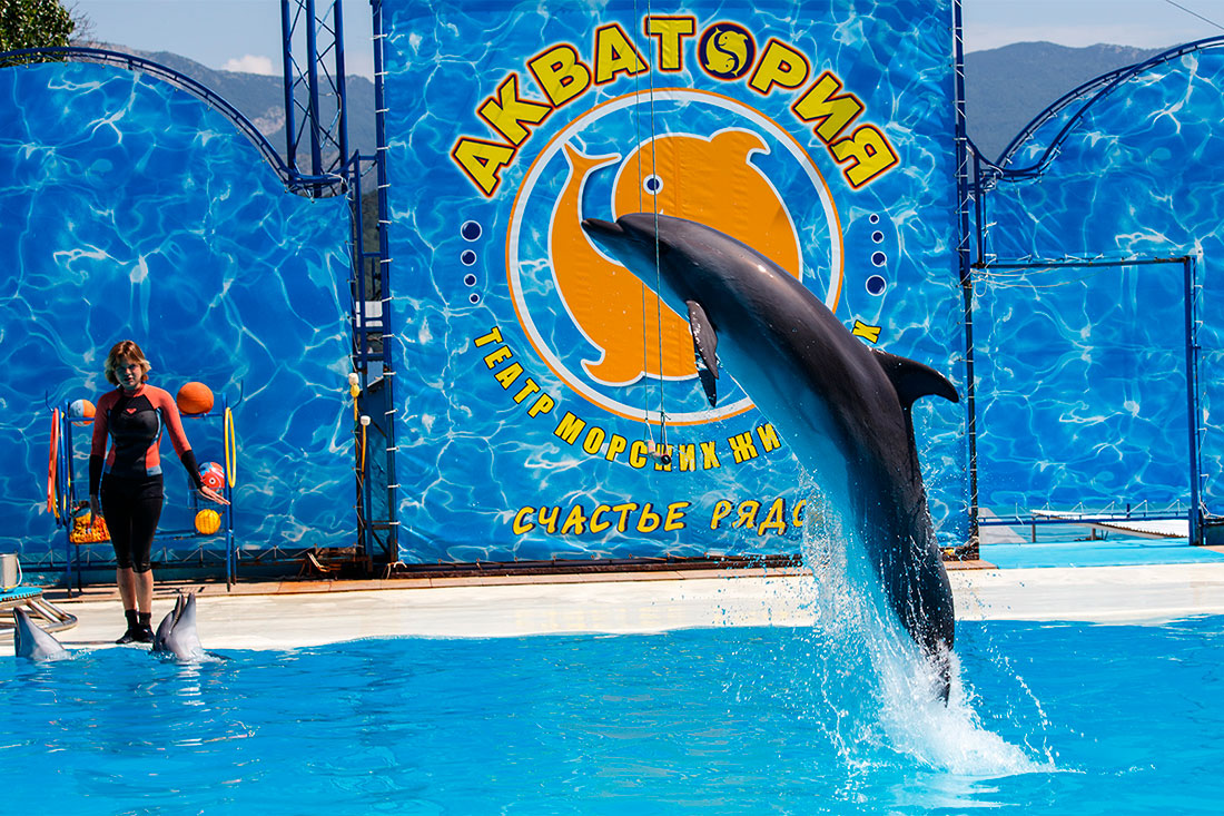 theater-of-sea-animals-water-area