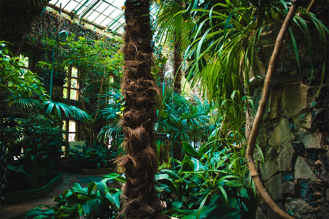 winter-garden