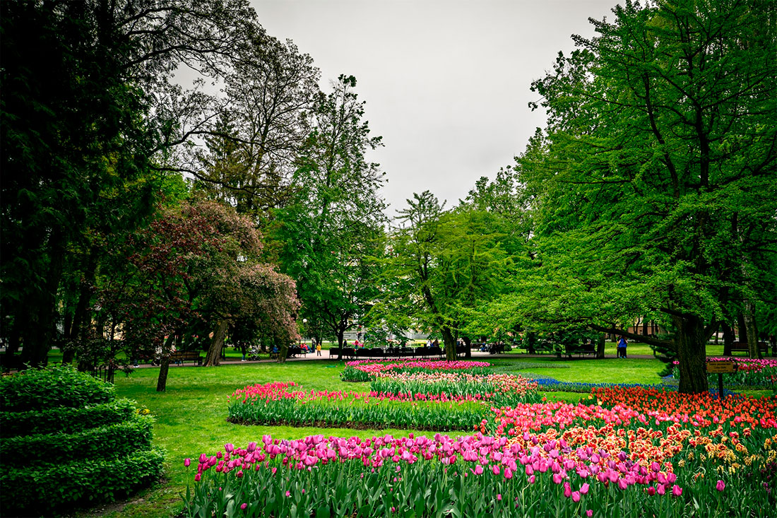 gomel-park