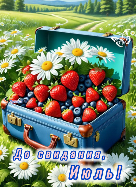 31 июля_cr