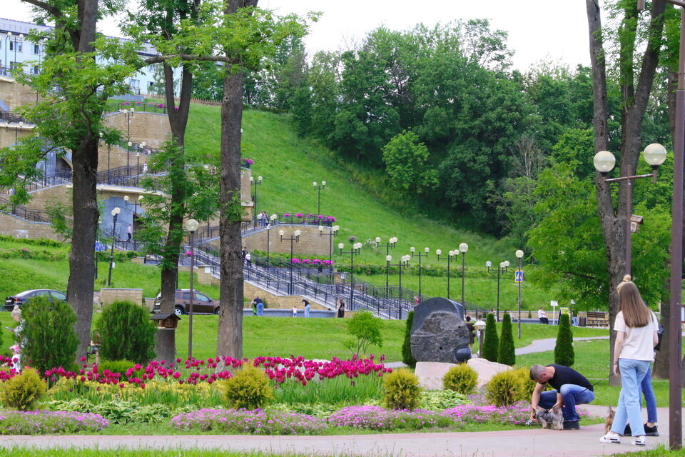 podnikole__05