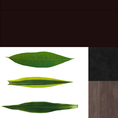 plant_04_M.изменён-светлее