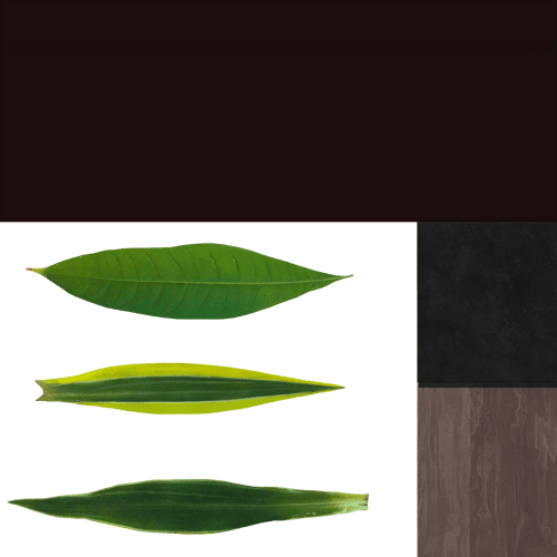 plant_04_M.светлее
