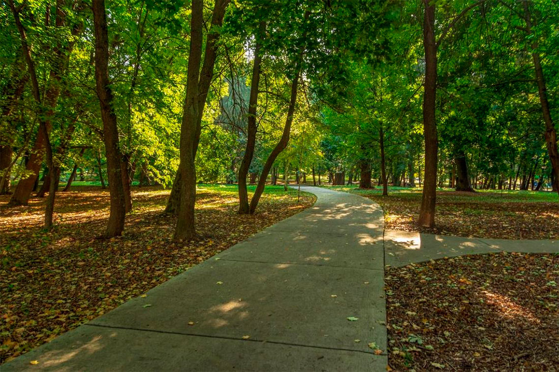 akhlebinovskaya-grove