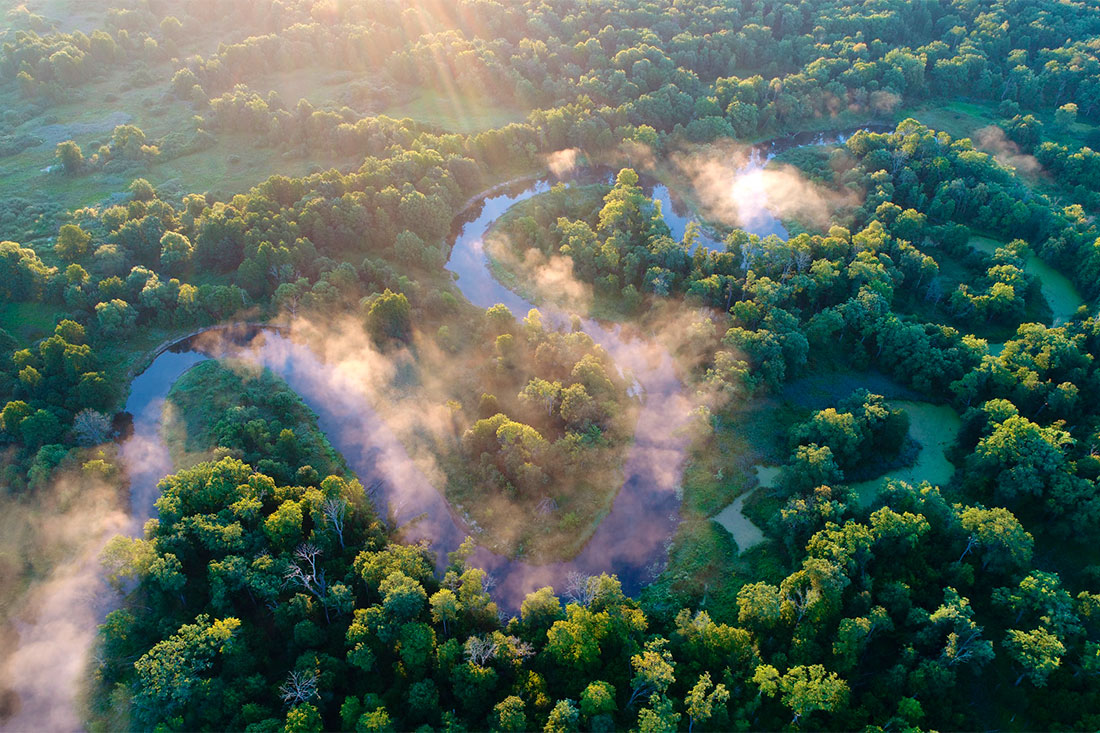 reserve-bryansk-forest
