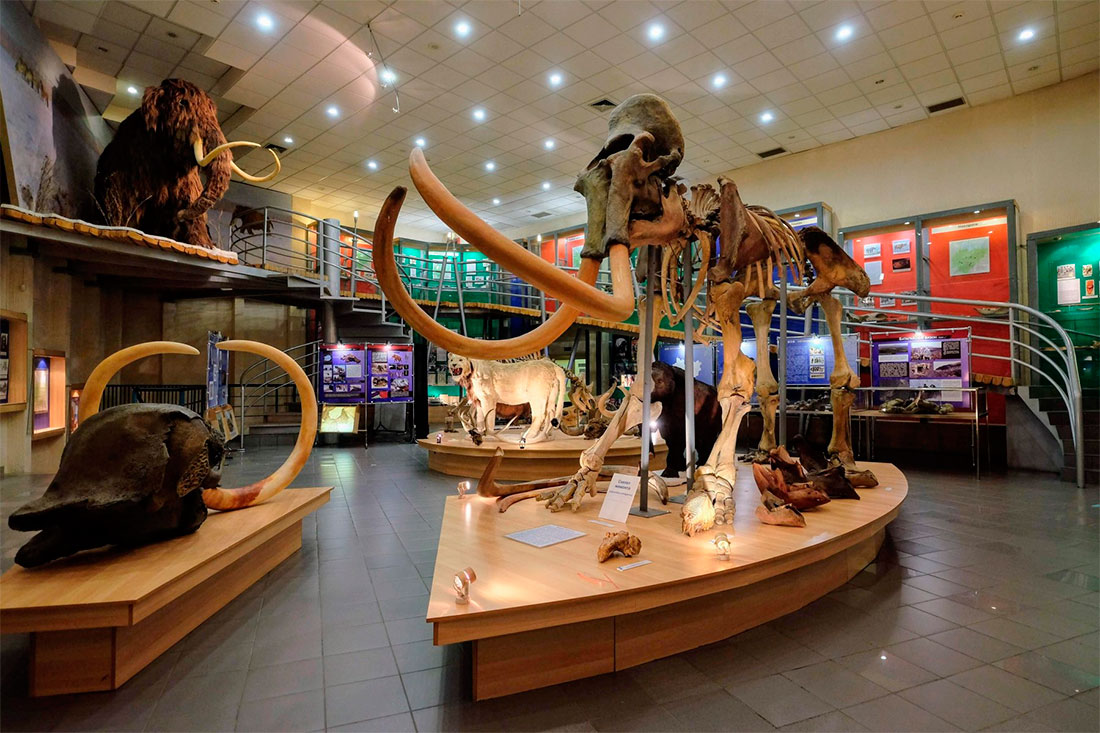 mammoth-museum