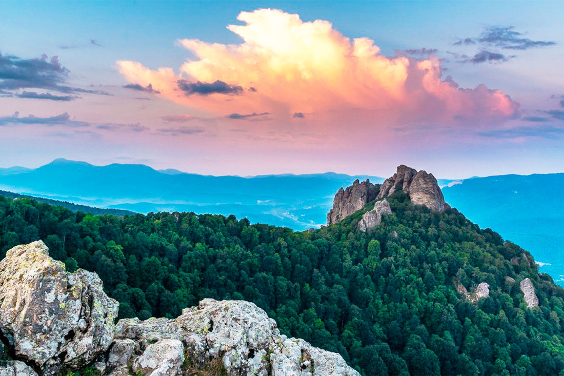 mount-turkey