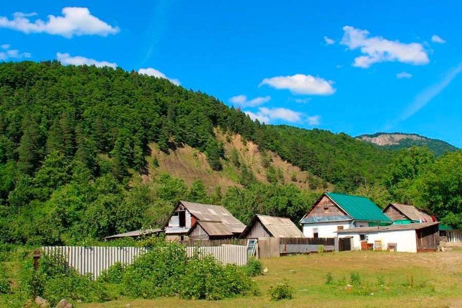altubinal-farm