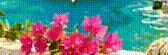 oie_0gHmoWLnOEVl