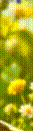 57e069a697e011f1993b02b78b65d167_yapfiles.ru