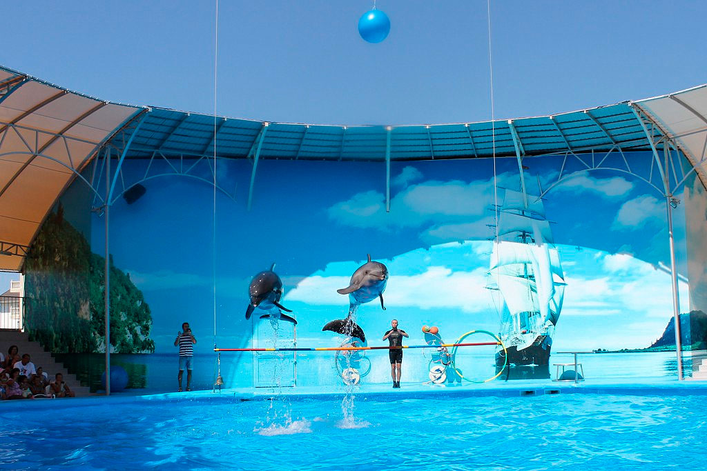 dolphinarium