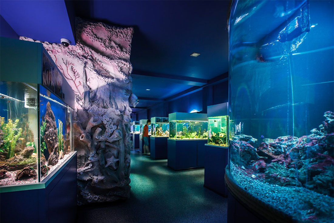 oceanarium