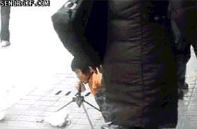 маленький китаец