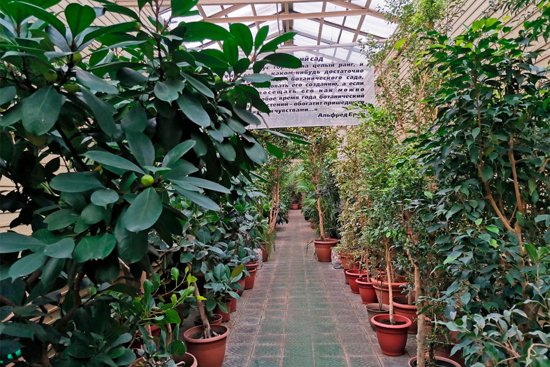zabaikalsky-botanical-garden