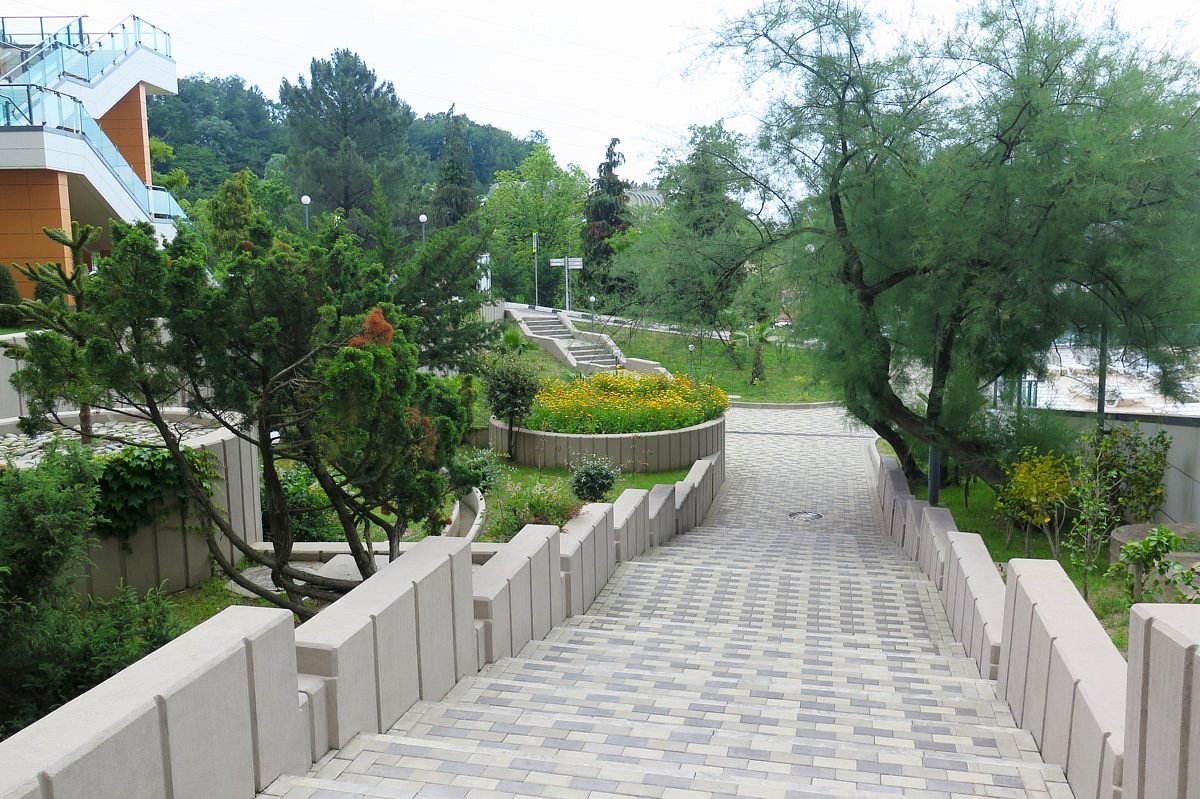 Dagomis_001