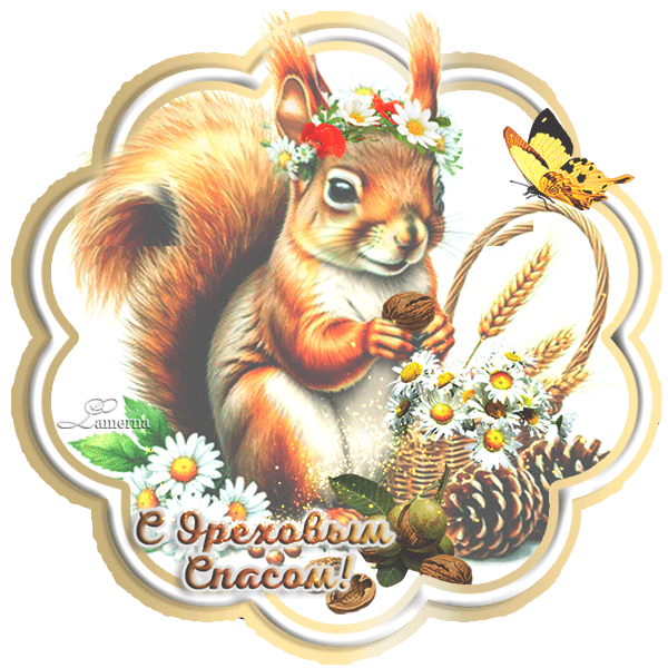 nuts280826.2