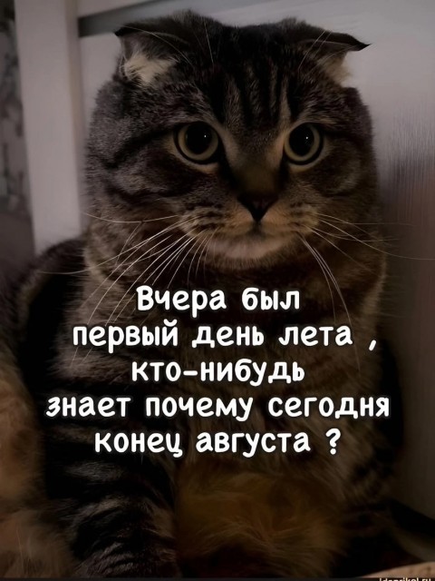 лето