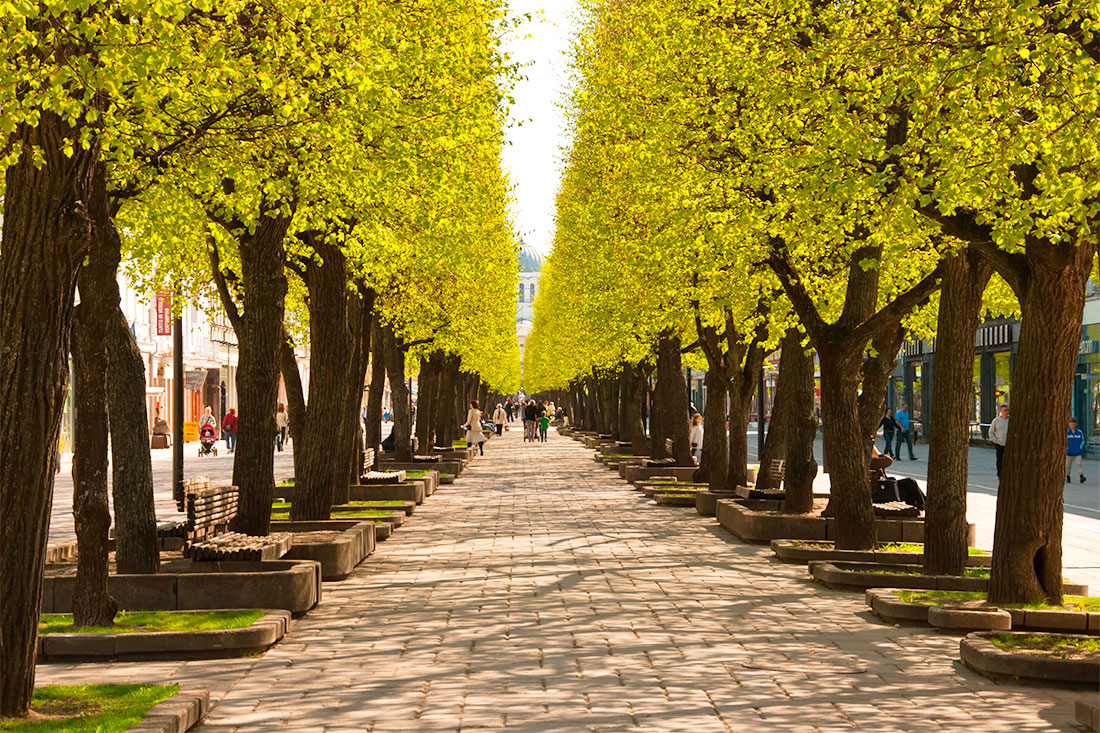 laisweis-alley