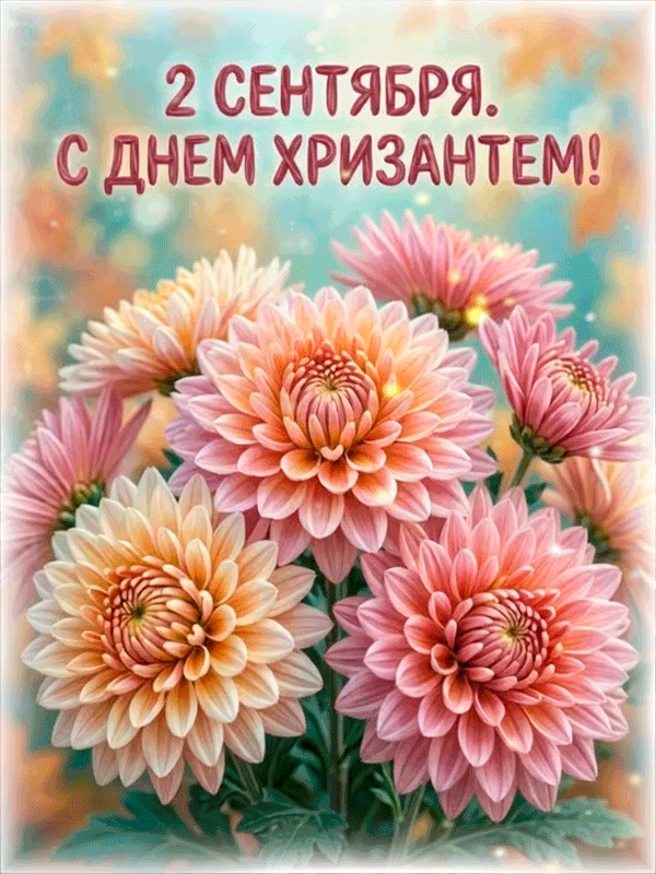 С ДНЕМ ХРИЗАНТЕМ!