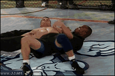 MMA-elbows-KO