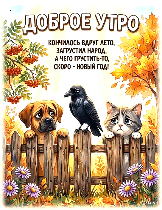 Доброе утро