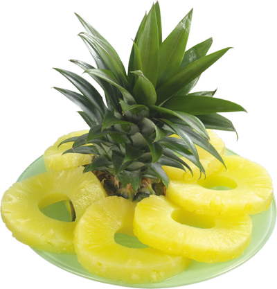 ananas (7)