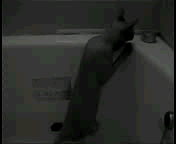 ыыы~1