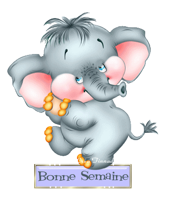 semaine_054