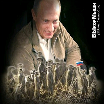 ВЫКОРМЫШИ