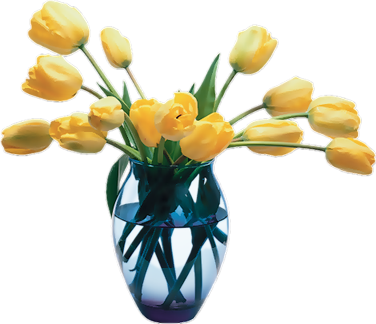 tulip