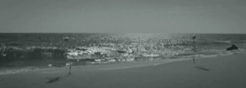 гифки-скелеты-пичалька-59961