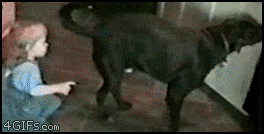D0B3D0B8D184D0BAD0B8D181D0BED0B1D0B0D0BAD0B0D0B4D0B5D182D0B8168611