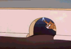 GIF (50)