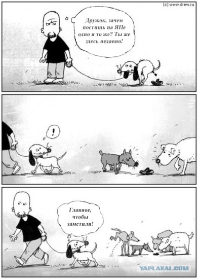 dog2