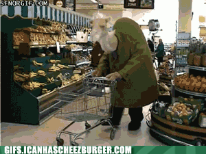 funny-animal-gifs-camel-goes-to-market
