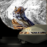 кровать круглая 1