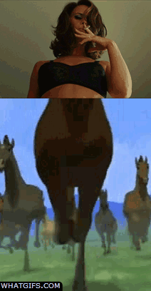 funny-gifs-what-bronies-see