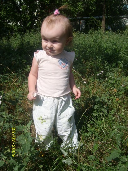 Изображение 342