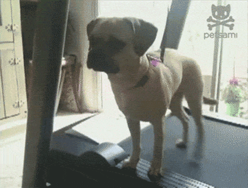 picpzhj_feoupffwyscslg2