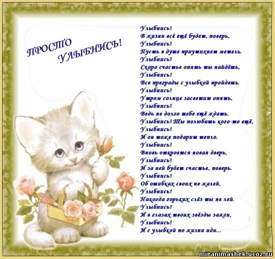28.039