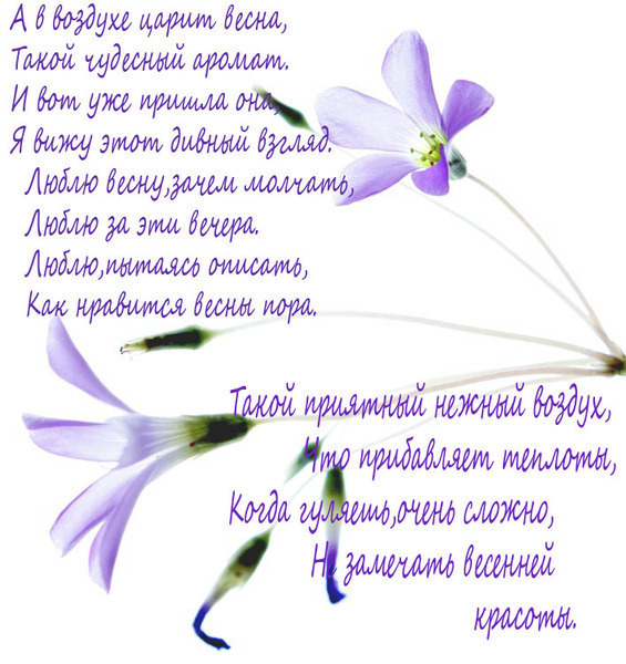 04.009